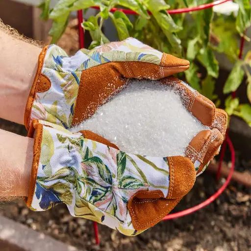 Unlock the Secret: Is Epsom Salt Good for Houseplants?