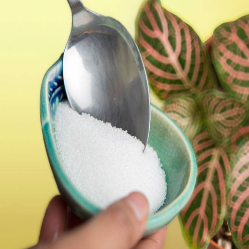 is epsom salt good for house plants