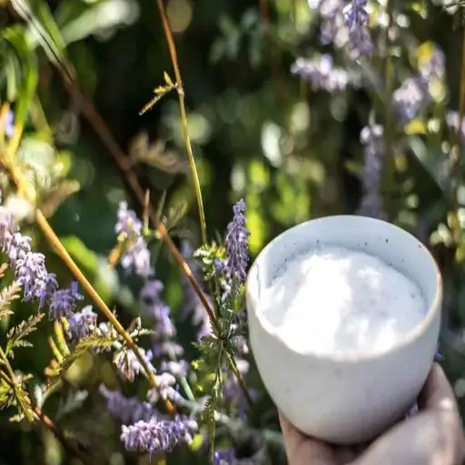 putting epsom salt on plants