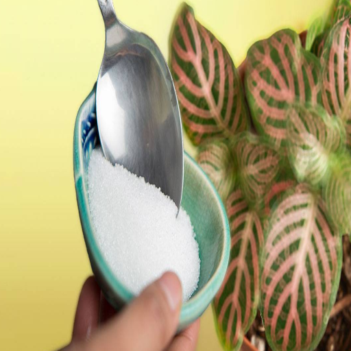 which plants do not like epsom salt