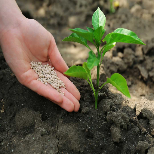 6-20-20 Fertilizer: The Ultimate Starter Fertilizer for Lawn and Garden Health