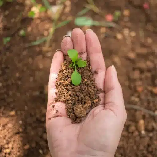 Top Fertilizer Companies: A Comprehensive Guide to Leading Fertilizer Manufacturers