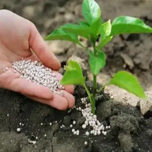 What Are the Latest Trends in the Fertilizer Market?