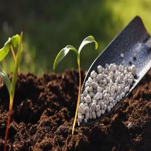 Why Is Nitrogen Essential in Fertilization?