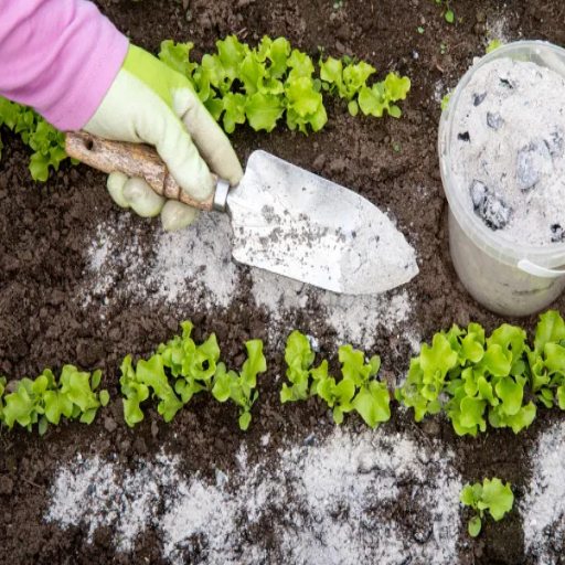 epsom salt fertilizer for plants