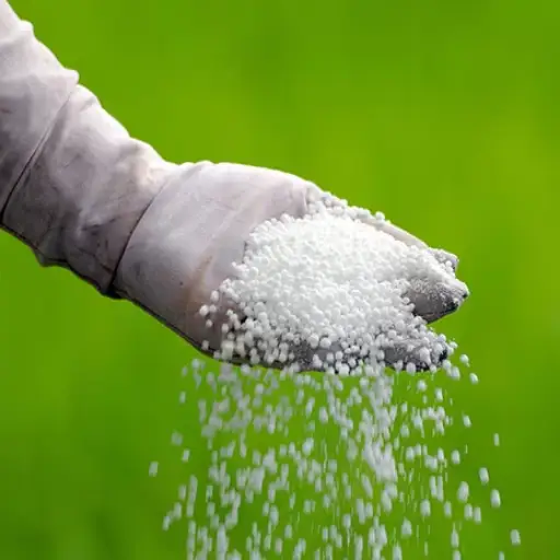 Who Are the Top Players in the Fertilizer Sector?