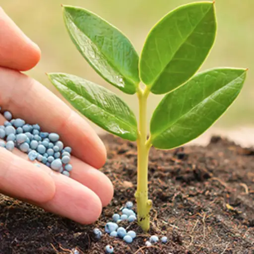 How Do Fertilizer Companies Impact the Global Market?