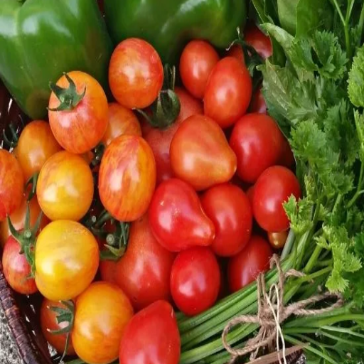 how much epsom salt to put on tomato plants