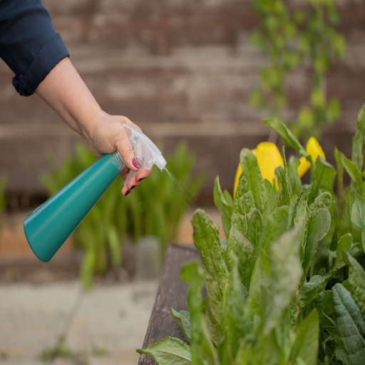 should i sprinkle epsom salt around plants?