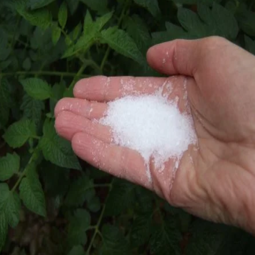 does epsom salt help plants