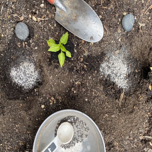does epsom salt help plants