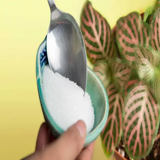 can i just sprinkle epsom salt on plants?