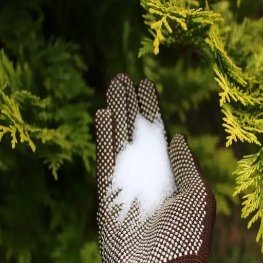 How to Use Epsom Salt for Plants: Tips and Benefits