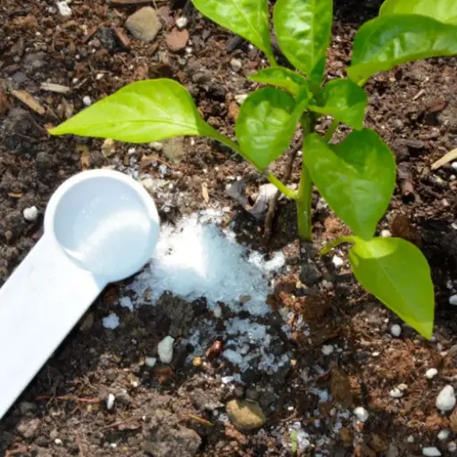 can you use epsom salt on pepper plants