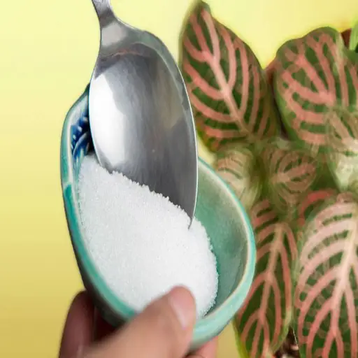can you use epsom salt on pepper plants