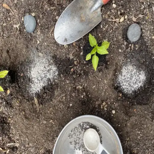 How to Use Epsom Salt in the Garden: Help Your Plants Flourish or Fail?