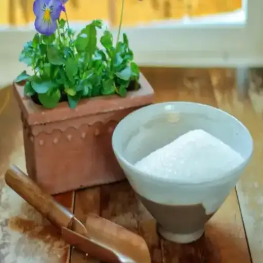 Epsom Salt for Plants: How and Why to Use Epsom Salt in Your Garden
