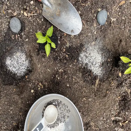 epsom salt and water for plants
