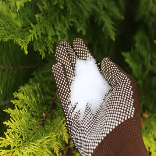 epsom salt and water for plants