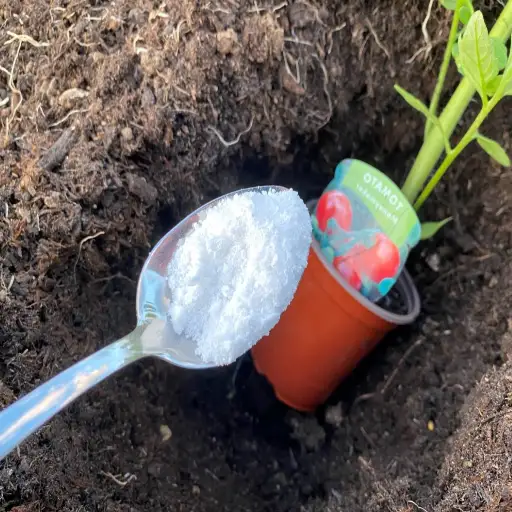 epsom salt for plants how to use