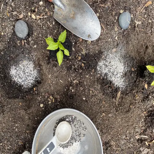 epsom salt for plants how to use