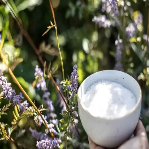 epsom salt for plants how to use