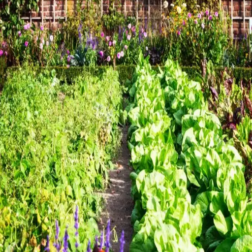 epsom salt for vegetable plants