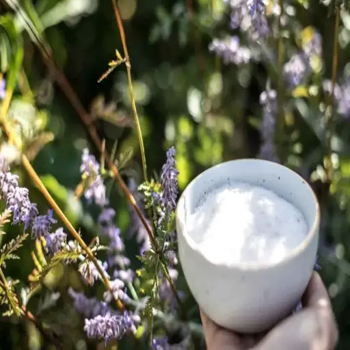 Epsom Salt for Plants: Unlocking the Secret to a Thriving Garden