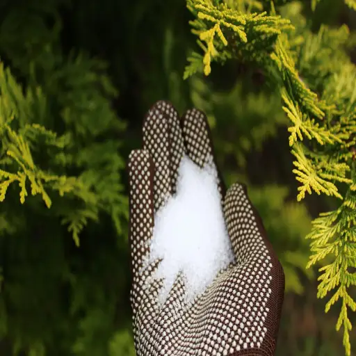 epsom salt good for all plants