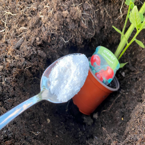 epsom salt in plants