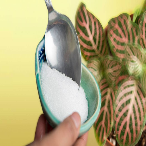 epsom salt in plants