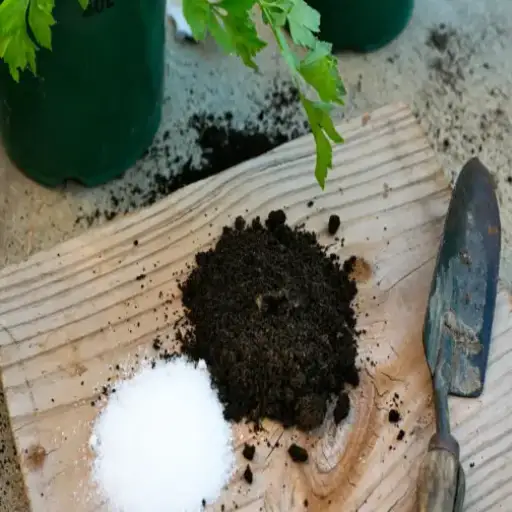 how much epsom salt to a gallon of water for plants