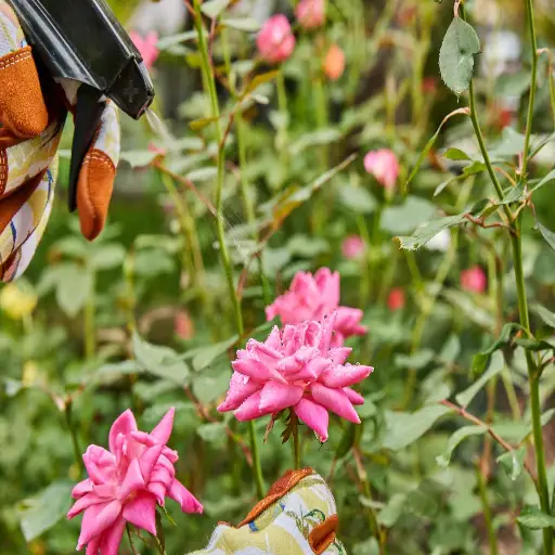 Discover the Benefits of Using Epsom Salt for Healthier Plants