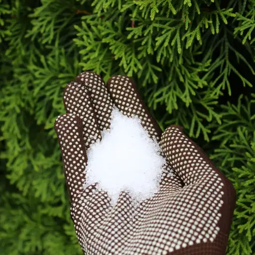 ratio of epsom salt to water for plants