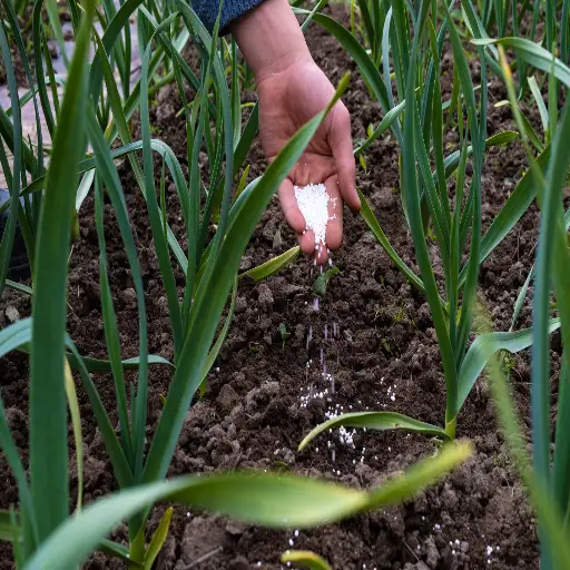 what plants don t like epsom salt
