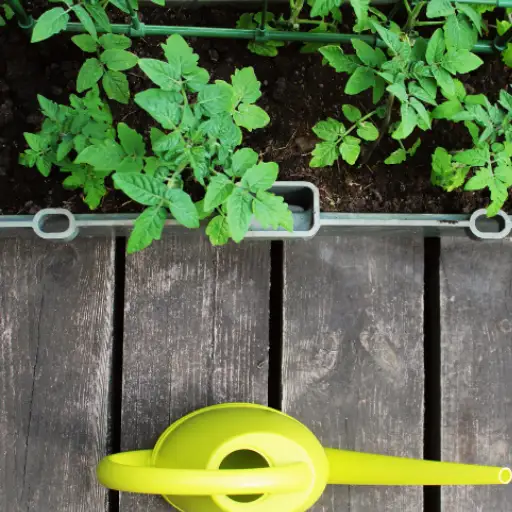 Unlock the Secrets of Using Epsom Salt in the Garden