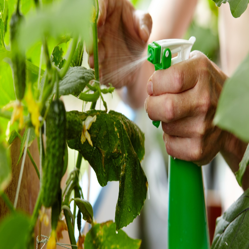 what plants is epsom salt good for