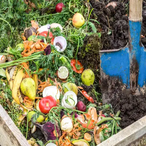 How to make compost at home in 7 easy steps