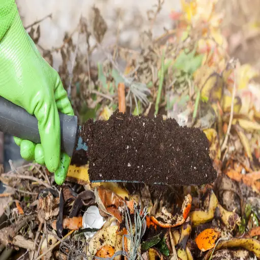 How to make compost at home in 7 easy steps
