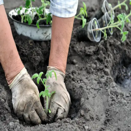 can epsom salt kill plants