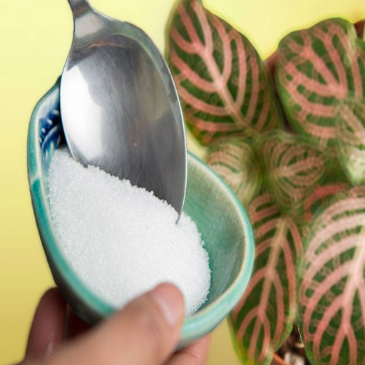 epsom salt kills plants