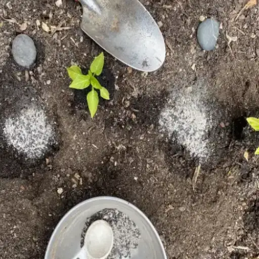 epsom salt kills plants