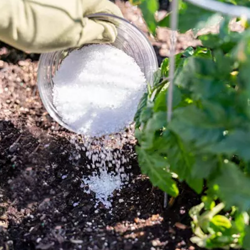 epsom salt magnesium sulfate for plants