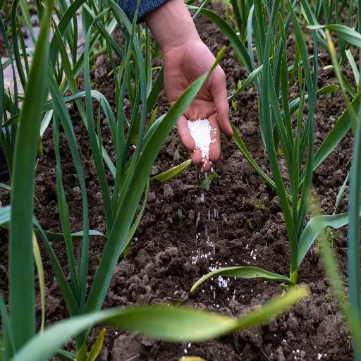 How to Use Epsom Salt to Fertilize Your Garden and Boost Plant Growth