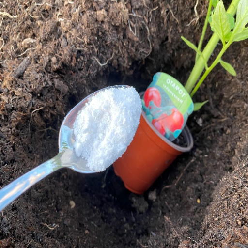 epsom salt to fertilize plants