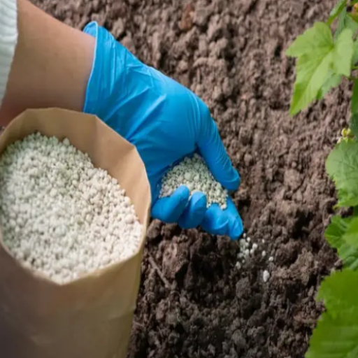 epsom salt to fertilize plants