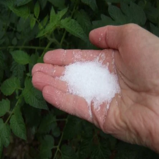 is epsom salt good for garden plants