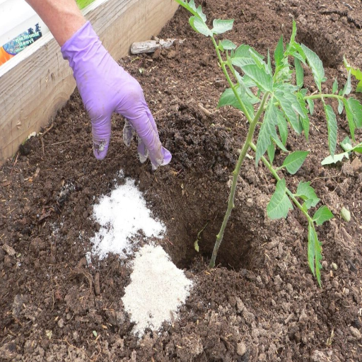 is epsom salt good for garden plants