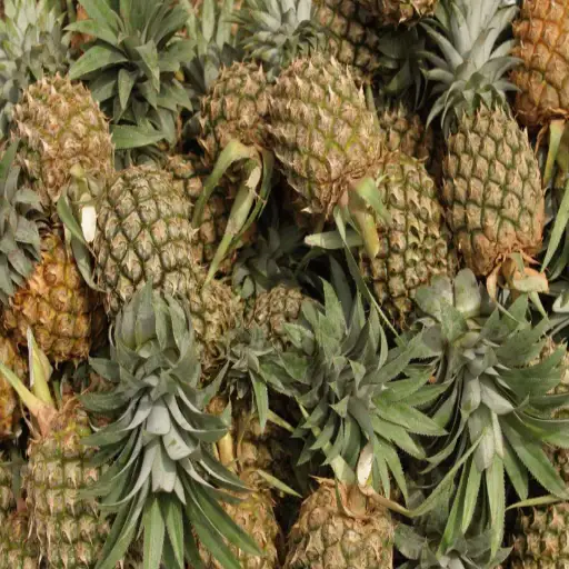 is epsom salt good for pineapple plants