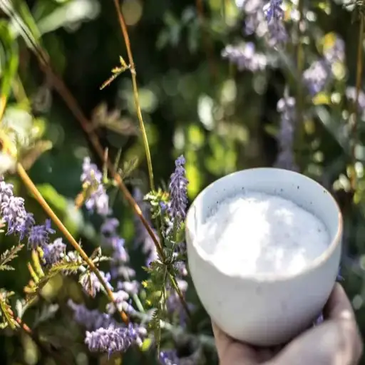 How to Effectively Use Epsom Salt for Your Garden and Houseplants